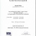 Powiększ obraz: certificate 13