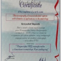 Powiększ obraz: certificate 1