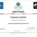 Powiększ obraz: certificate 18