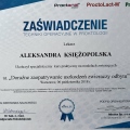 Powiększ obraz: certificate 16