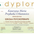 Powiększ obraz: certificate 1