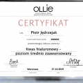 Powiększ obraz: certificate 5