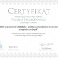 Powiększ obraz: certificate 49