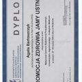 Powiększ obraz: certificate 48