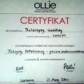 Powiększ obraz: certificate 4