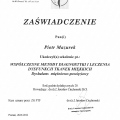 Powiększ obraz: certificate 12