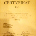 Powiększ obraz: certificate 4
