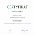 Powiększ obraz: certificate 10