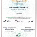 Powiększ obraz: certificate 8