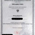 Powiększ obraz: certificate 1