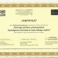 Powiększ obraz: certificate 14