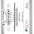 Powiększ obraz: certificate 18
