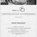 Powiększ obraz: certificate 8