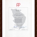 Powiększ obraz: certificate 8