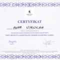 Powiększ obraz: certificate 11