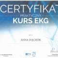 Powiększ obraz: certificate 61