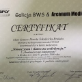 Powiększ obraz: certificate 3