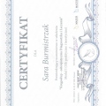 Powiększ obraz: certificate 6
