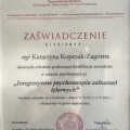 Powiększ obraz: certificate 10