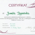 Powiększ obraz: certificate 11