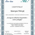 Powiększ obraz: certificate 7