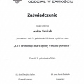 Powiększ obraz: certificate 20