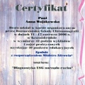 Powiększ obraz: certificate 1