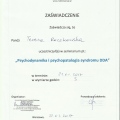 Powiększ obraz: certificate 20