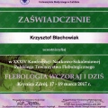 Powiększ obraz: certificate 67