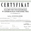 Powiększ obraz: certificate 11