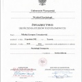Powiększ obraz: certificate 3