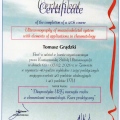 Powiększ obraz: certificate 4