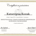 Powiększ obraz: certificate 13