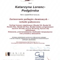 Powiększ obraz: certificate 25