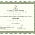 Powiększ obraz: certificate 4