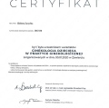Powiększ obraz: certificate 6