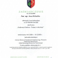 Powiększ obraz: certificate 19
