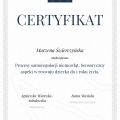 Powiększ obraz: certificate 4
