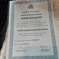 Powiększ obraz: certificate 1