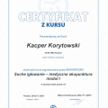 Powiększ obraz: certificate 3