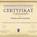 Powiększ obraz: certificate 11