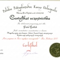Powiększ obraz: certificate 10