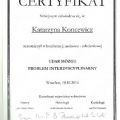 Powiększ obraz: certificate 1
