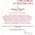 Powiększ obraz: certificate 11