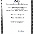 Powiększ obraz: certificate 2
