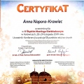 Powiększ obraz: certificate 16