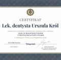 Powiększ obraz: certificate 19