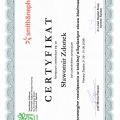 Powiększ obraz: certificate 4