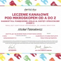 Powiększ obraz: certificate 1