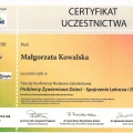 Powiększ obraz: certificate 6